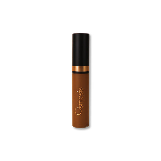 FLAWLESS CONCEALERs - Java